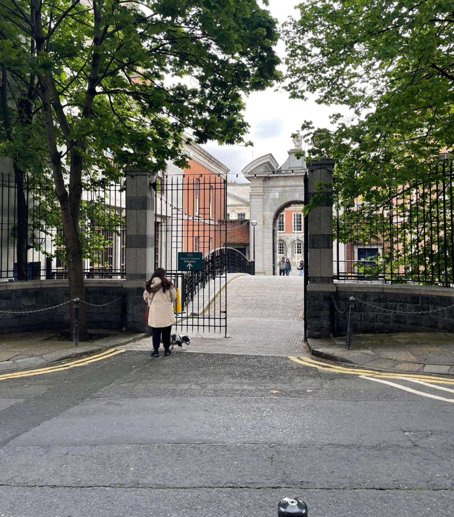 Castle Street Apartamento Dublin